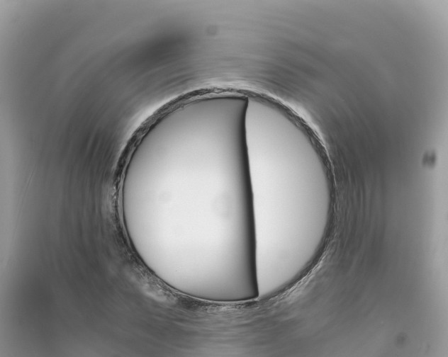 X0000091300879200708101045