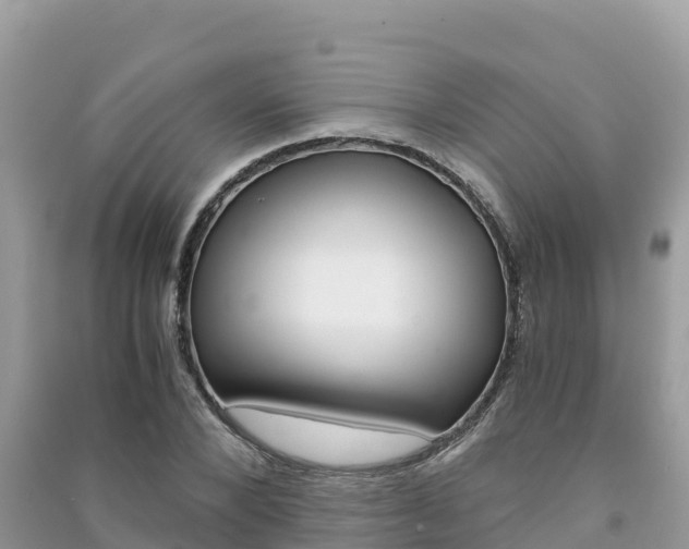 X0000091300880200708101045