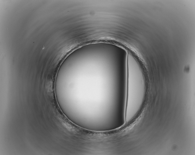 X0000091300881200708101045