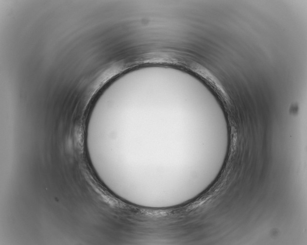 X0000091300882200708101045