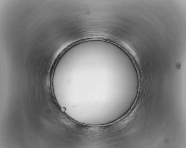 X0000091300883200708101045