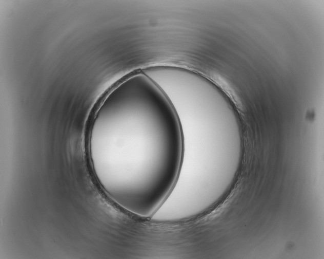 X0000091300884200708101045