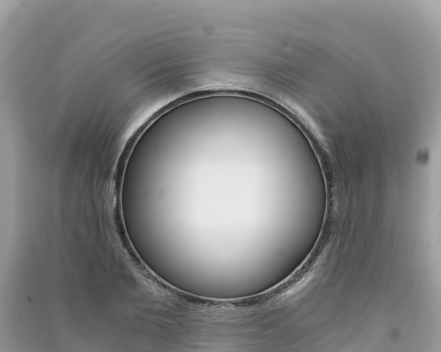 X0000091300885200708101045