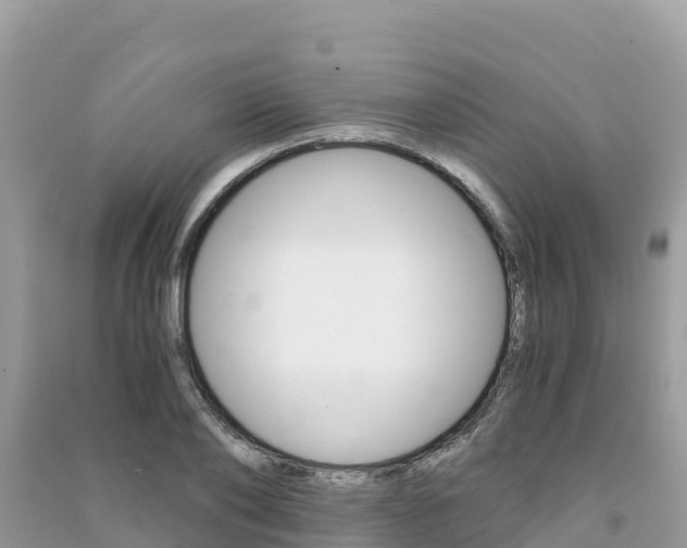 X0000091300886200708101045