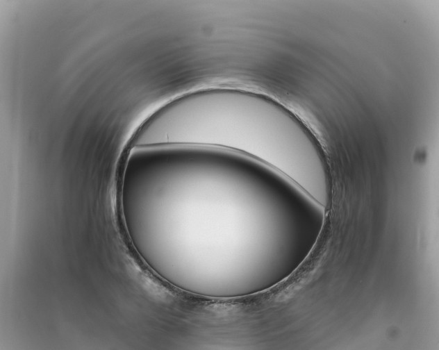 X0000091300888200708101045