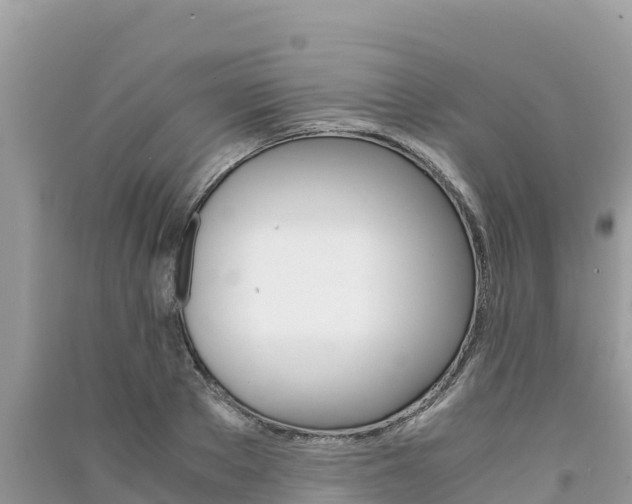 X0000091300889200708101045