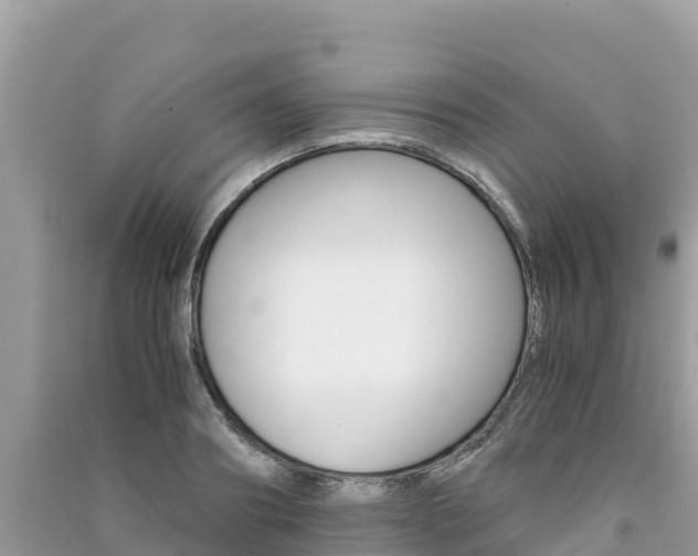 X0000091300890200708101045