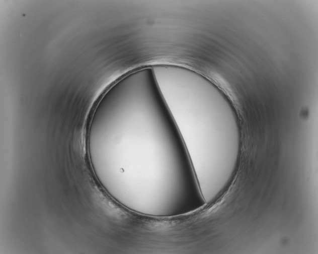 X0000091300892200708101045