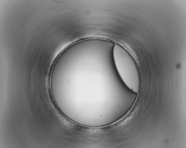 X0000091300893200708101045