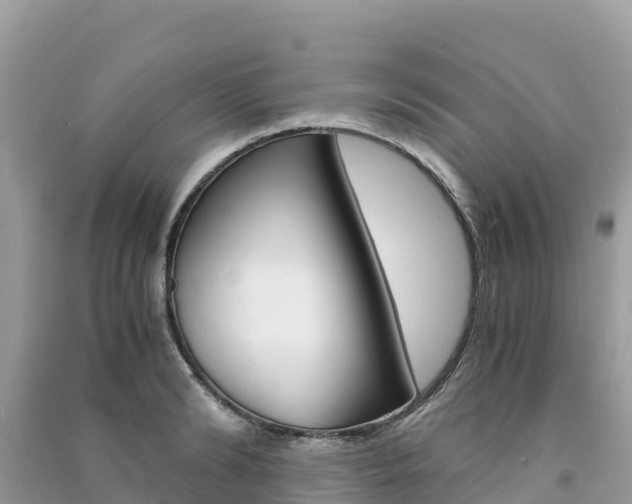 X0000091300894200708101045