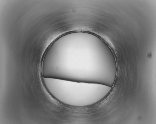 X0000091300895200708101045