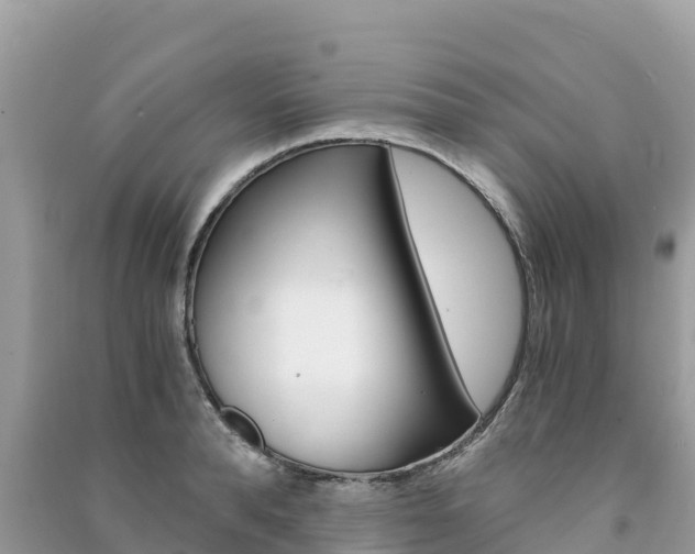 X0000091300896200708101045