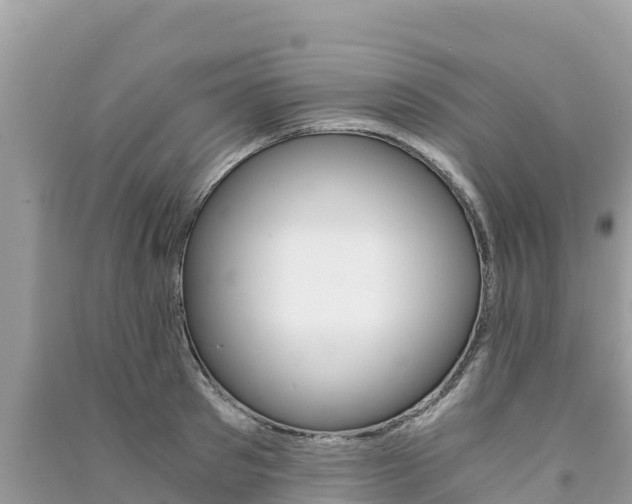 X0000091300897200708101045