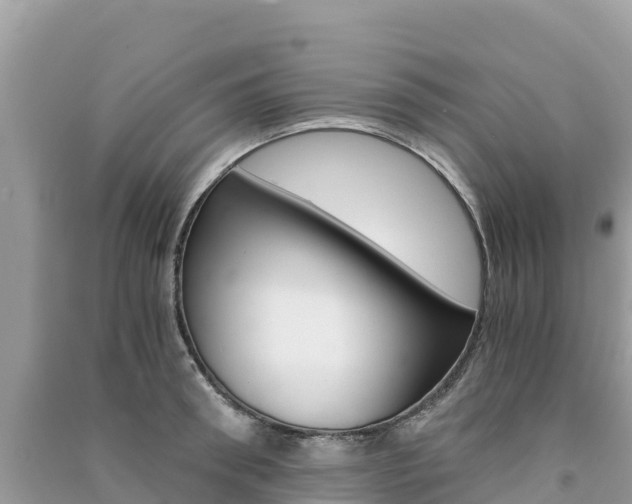 X0000091300898200708101045