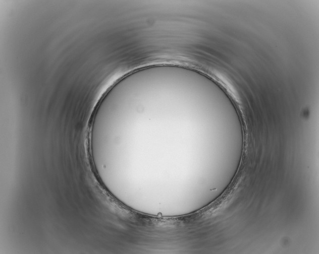 X0000091300899200708101045