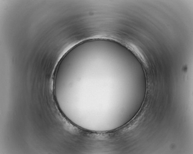 X0000091300900200708101045