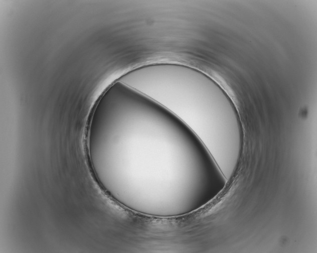 X0000091300901200708101045