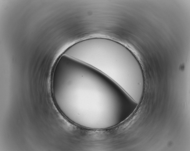 X0000091300902200708101045