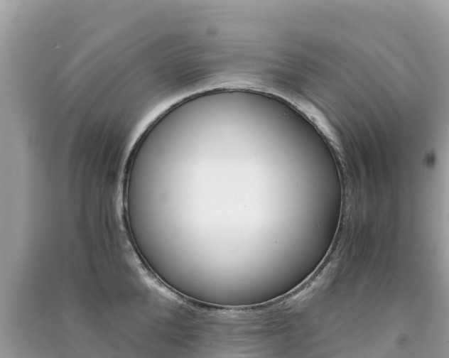 X0000091300904200708101045