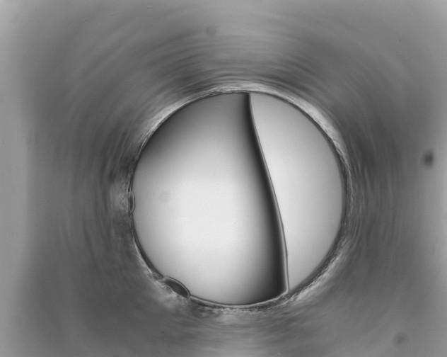 X0000091300905200708101045