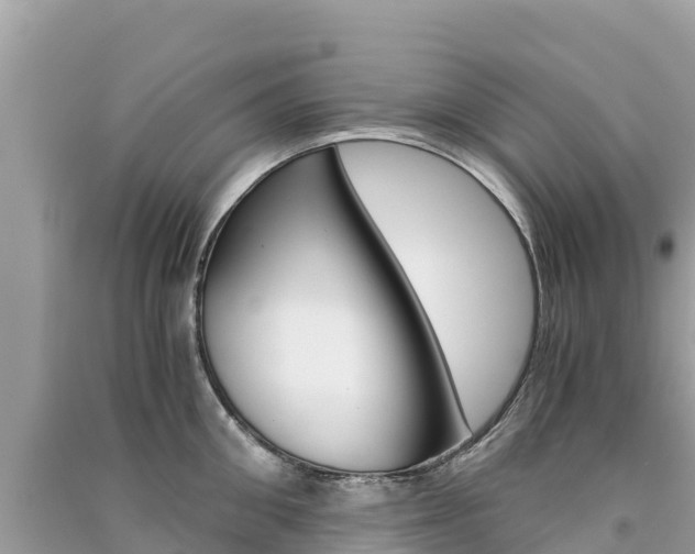 X0000091300906200708101045