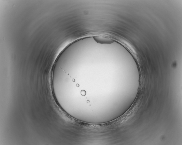 X0000091300907200708101045