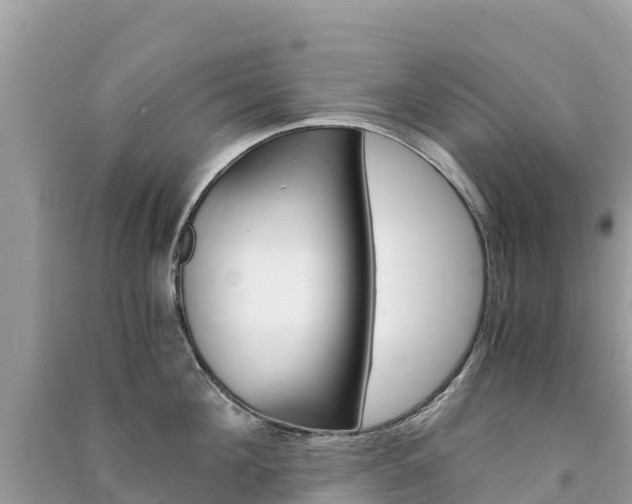 X0000091300908200708101045