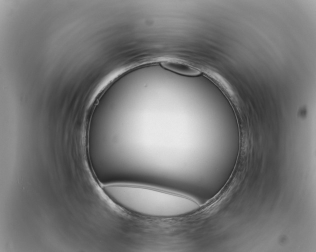 X0000091300910200708101045