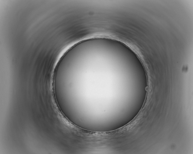 X0000091300912200708101045