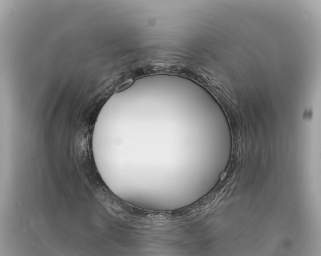 X0000091300914200708101044