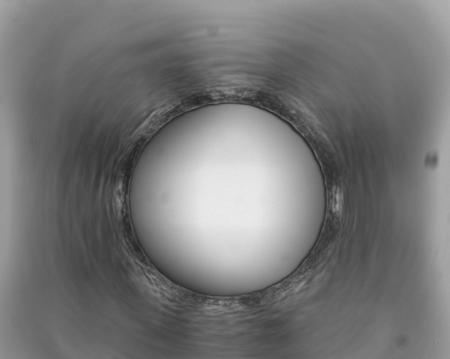X0000091300915200708101044
