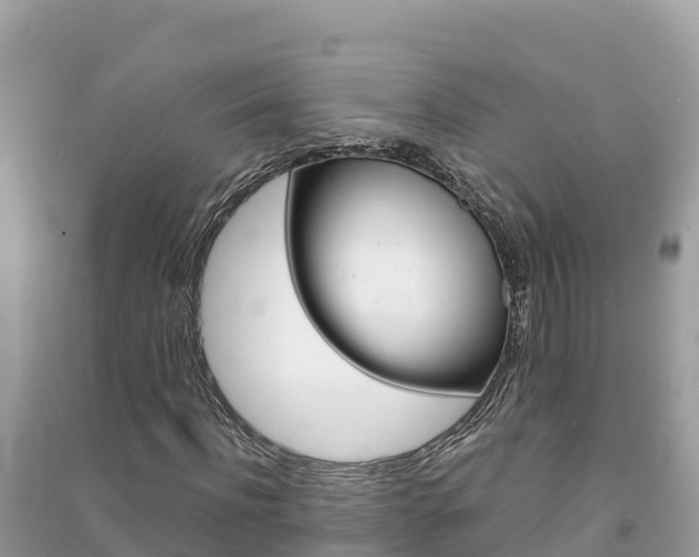 X0000091300916200708101044