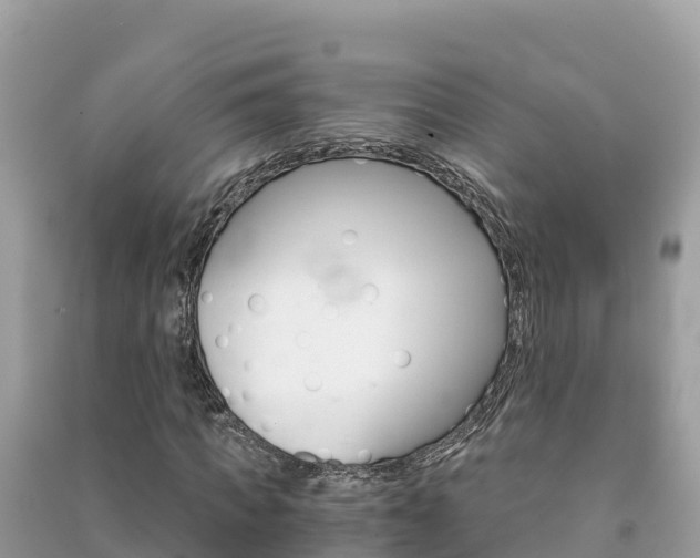 X0000091300917200708101044