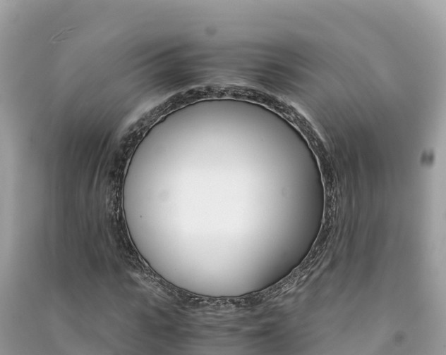 X0000091300919200708101044