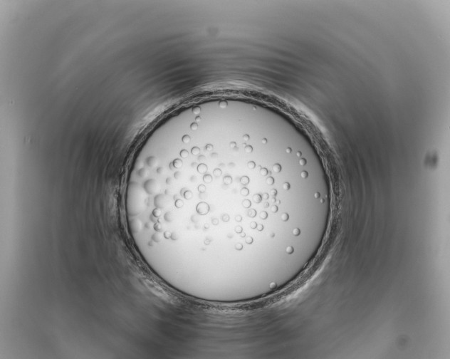 X0000091300921200708101044