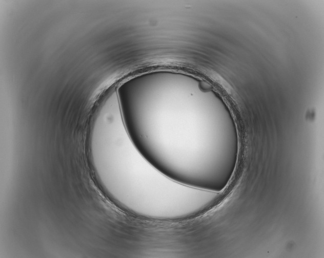 X0000091300922200708101044