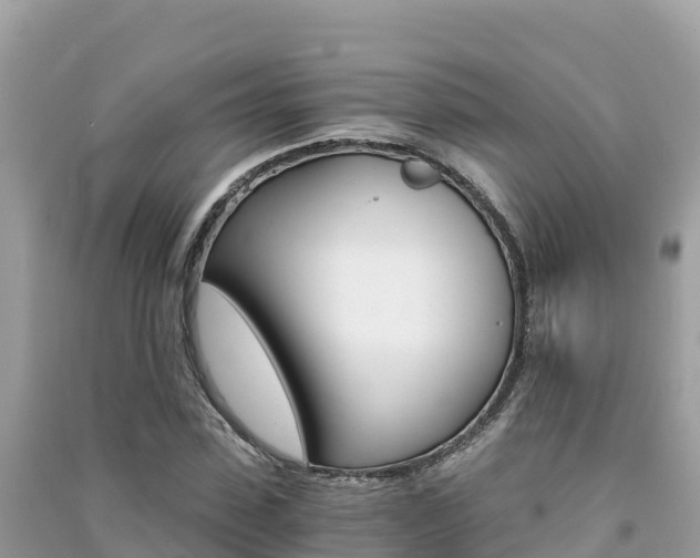 X0000091300923200708101044