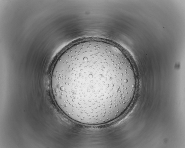 X0000091300925200708101044
