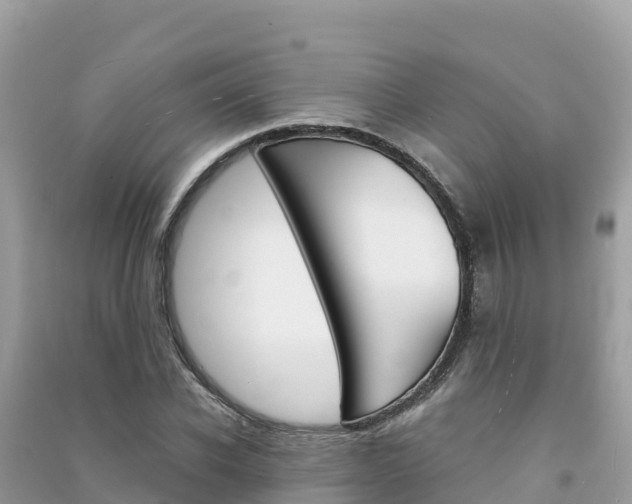 X0000091300926200708101045