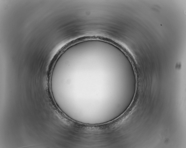 X0000091300927200708101045