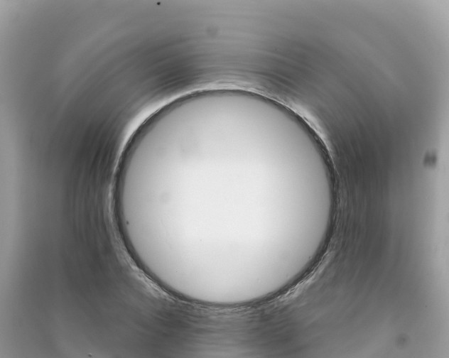 X0000091300928200708101045