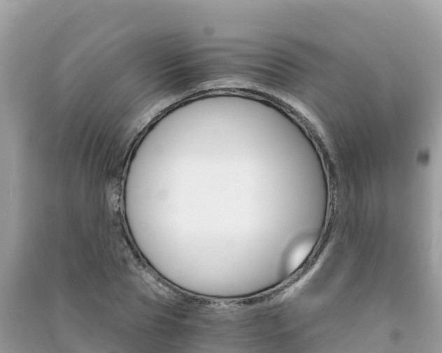X0000091300929200708101045
