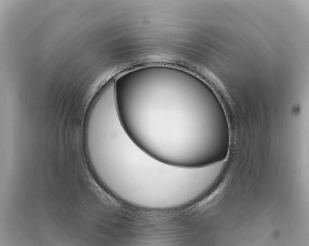 X0000091300930200708101045