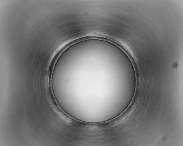 X0000091300931200708101045
