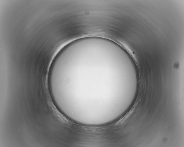 X0000091300932200708101045