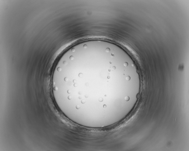 X0000091300933200708101045