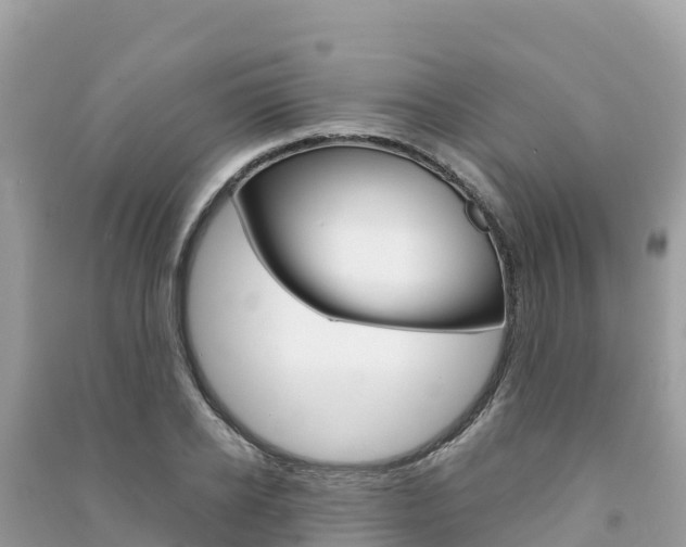 X0000091300934200708101045