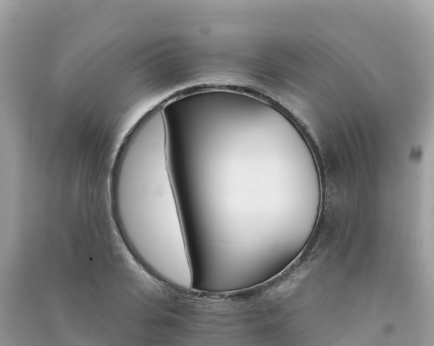 X0000091300935200708101045