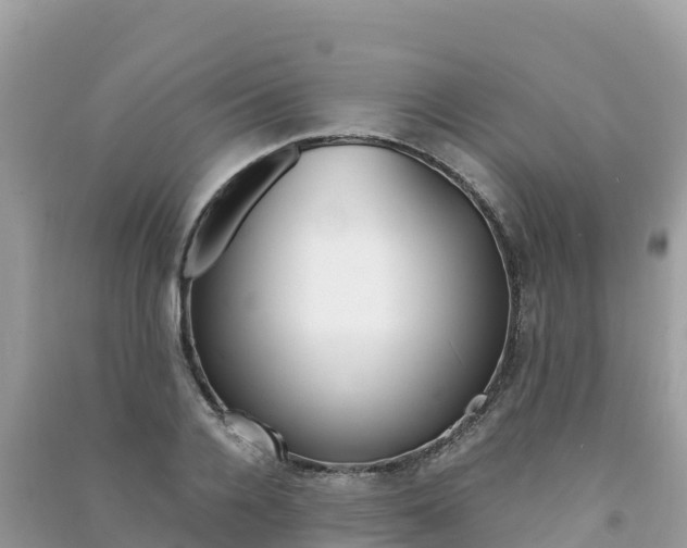 X0000091300936200708101045