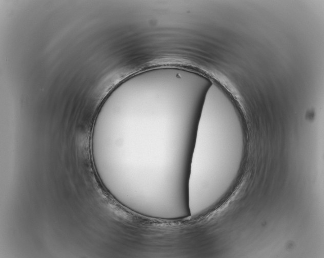 X0000091300937200708101045